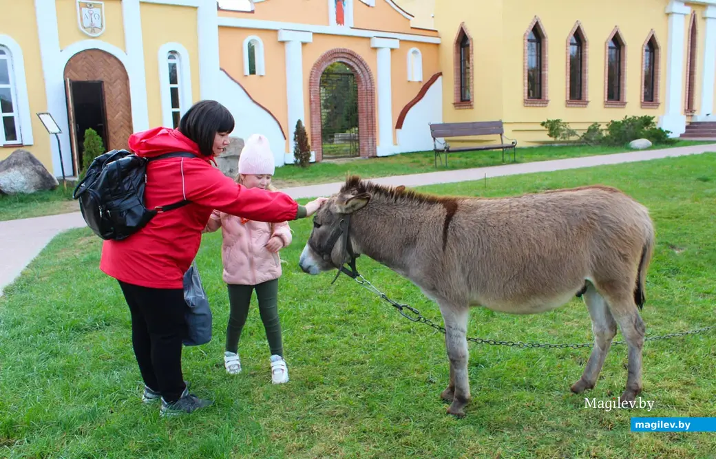 Путешествие одного дня: в парк интерактивной истории «Сула». Октябрь 2023 год.