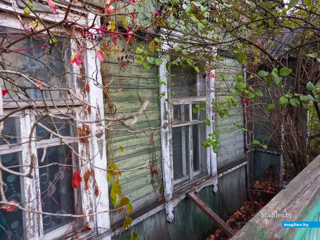 Переулок Буянова все свои тайны нам еще не открыл. Могилев, 01.11.2023 г.