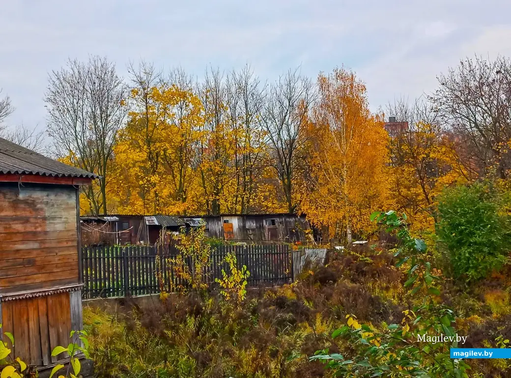 Переулок Буянова все свои тайны нам еще не открыл. Могилев, 01.11.2023 г.