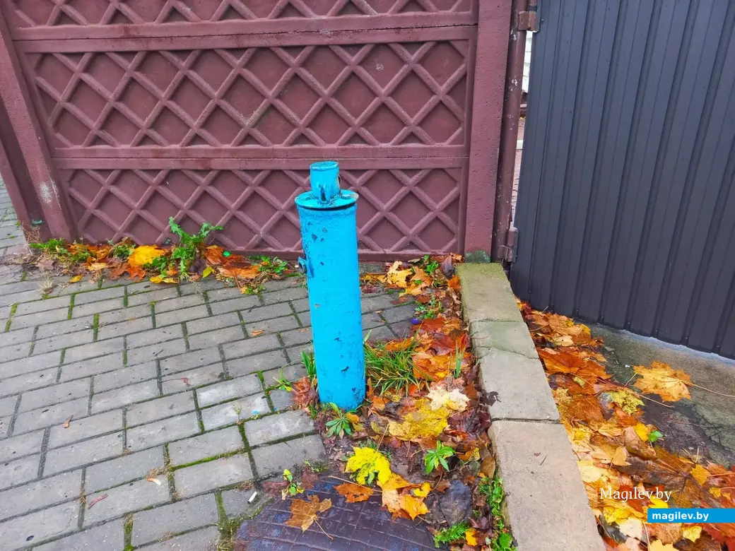 Переулок Буянова все свои тайны нам еще не открыл. Могилев, 01.11.2023 г.