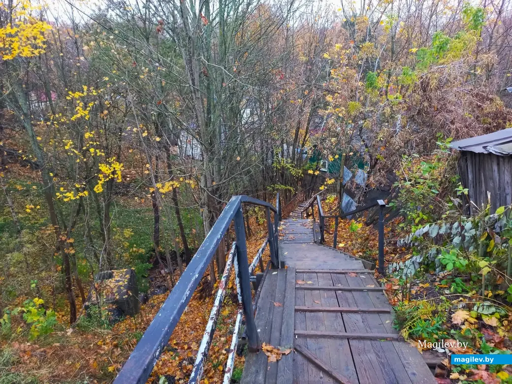 Переулок Буянова все свои тайны нам еще не открыл. Могилев, 01.11.2023 г.