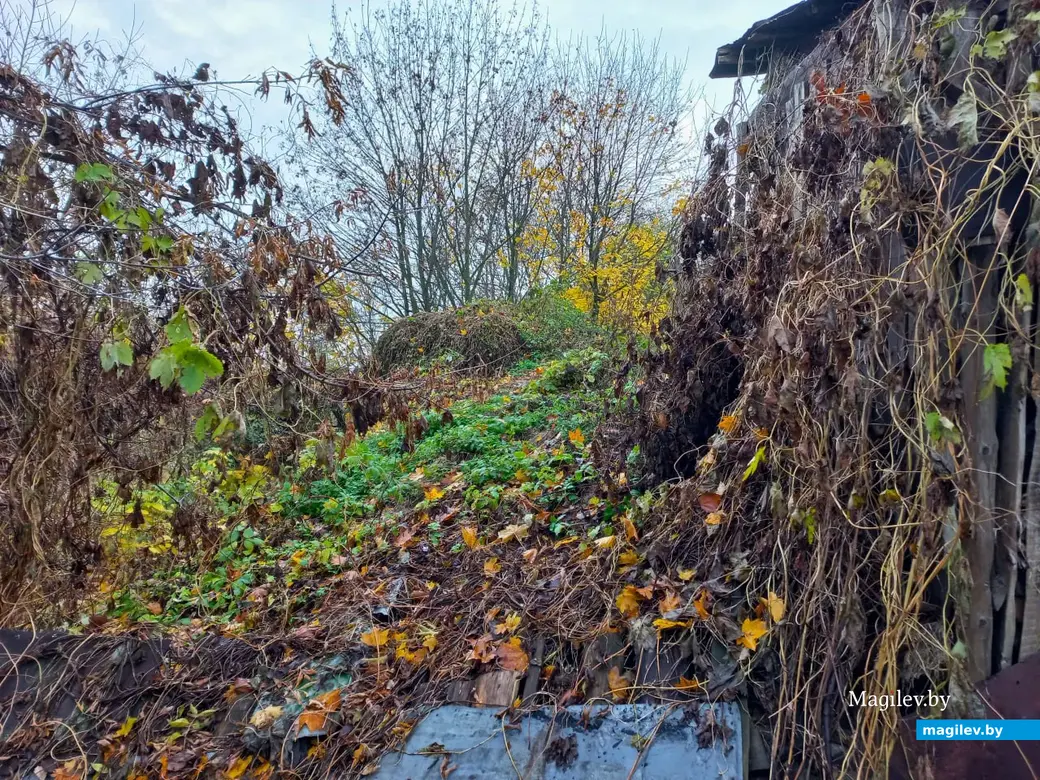 Переулок Буянова все свои тайны нам еще не открыл. Могилев, 01.11.2023 г.