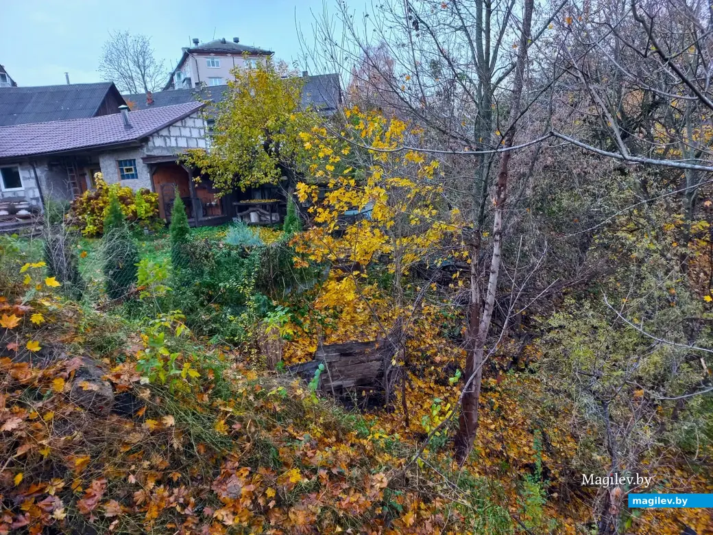 Переулок Буянова все свои тайны нам еще не открыл. Могилев, 01.11.2023 г.