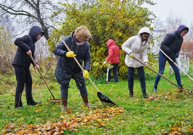 Городской субботник проходит в Могилеве: несмотря на дождь, работа кипит