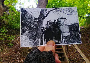 Могилев исчезающий: когда молчат дубы и клены…