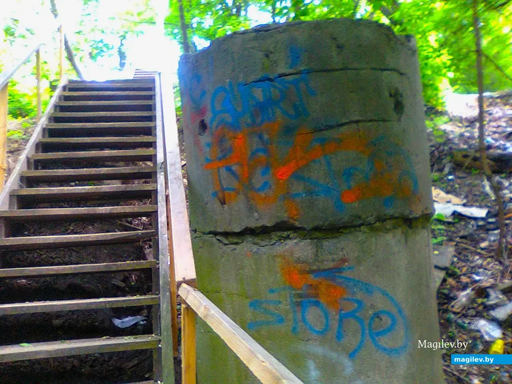 Та же лестница. Могилев, Дубровенка, 2017 г.