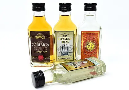 Нелегального столичного бутлегера установили правоохранители Бобруйска