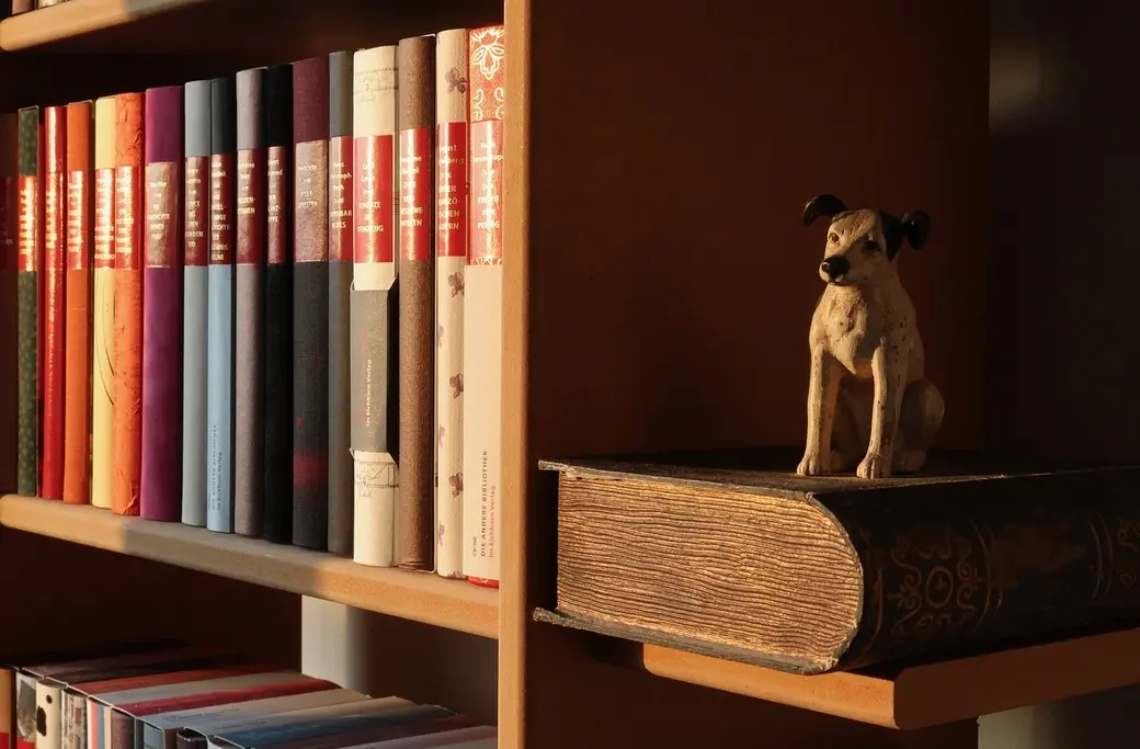 Хранение книг дома требует от их владельца некоторого внимания и заботы.