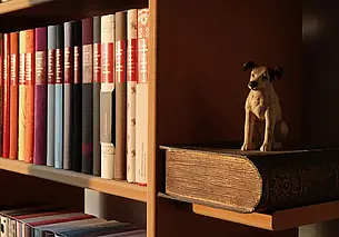 Как хранить книги: советы, которые помогут обладателям больших библиотек