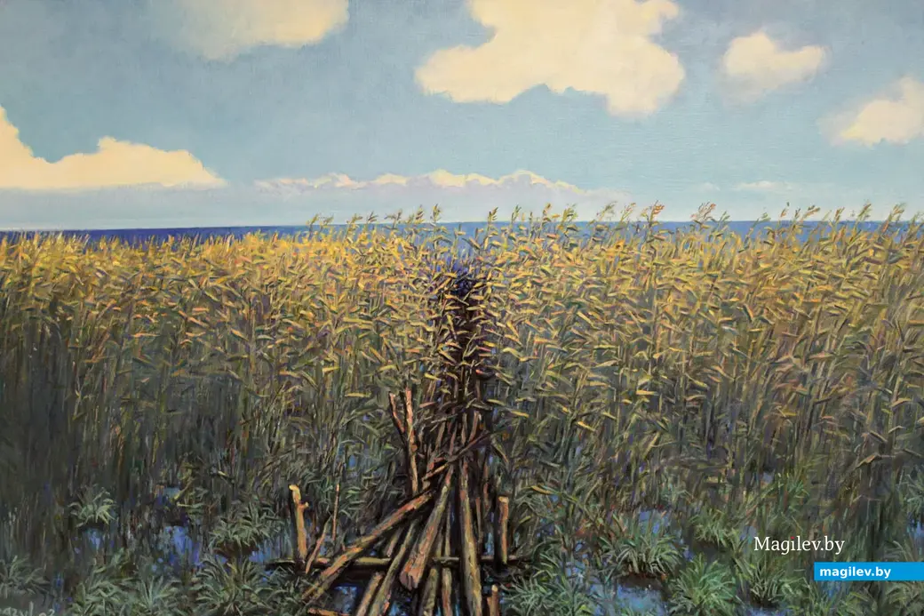 Выставочный проект «Шчырасць адзіноты» Василя Комарова в Выставочном зале Могилева. 8 ноября 2023 года.