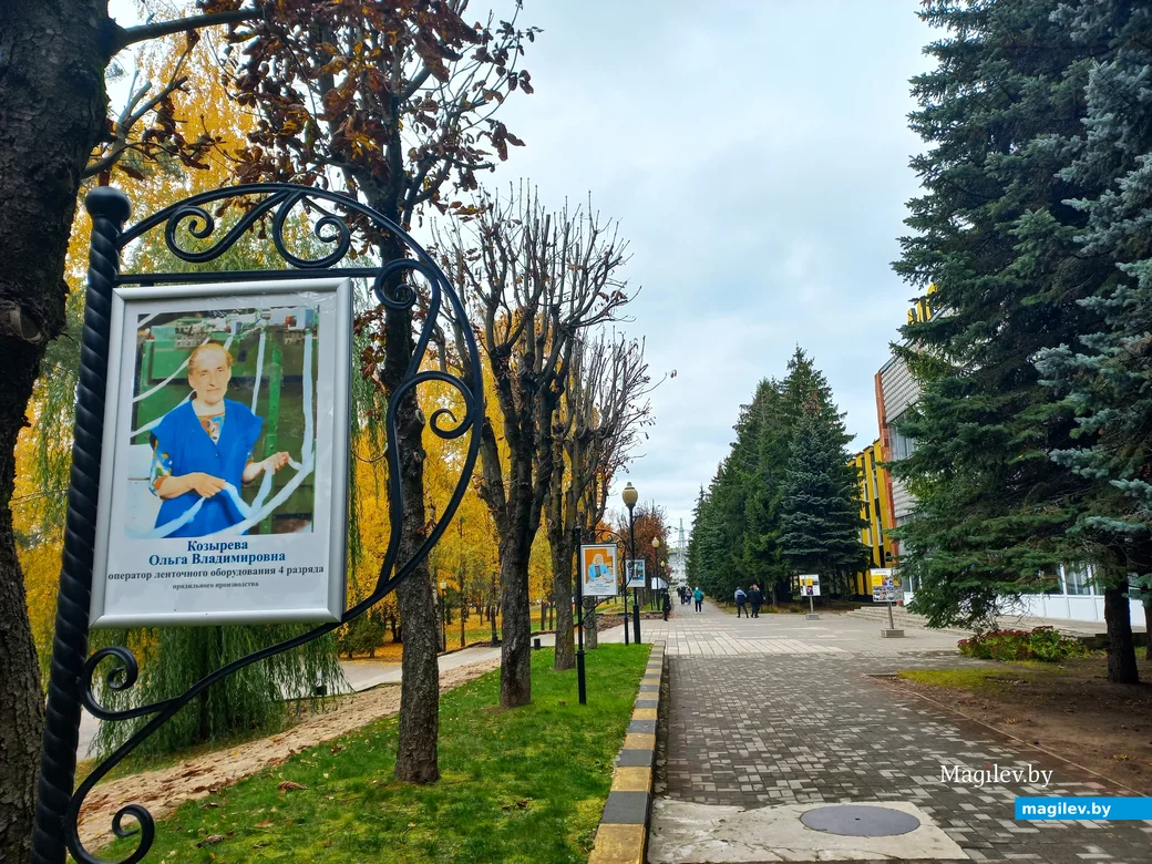 ОАО «Моготекс». Могилев, октябрь, 2023 г.