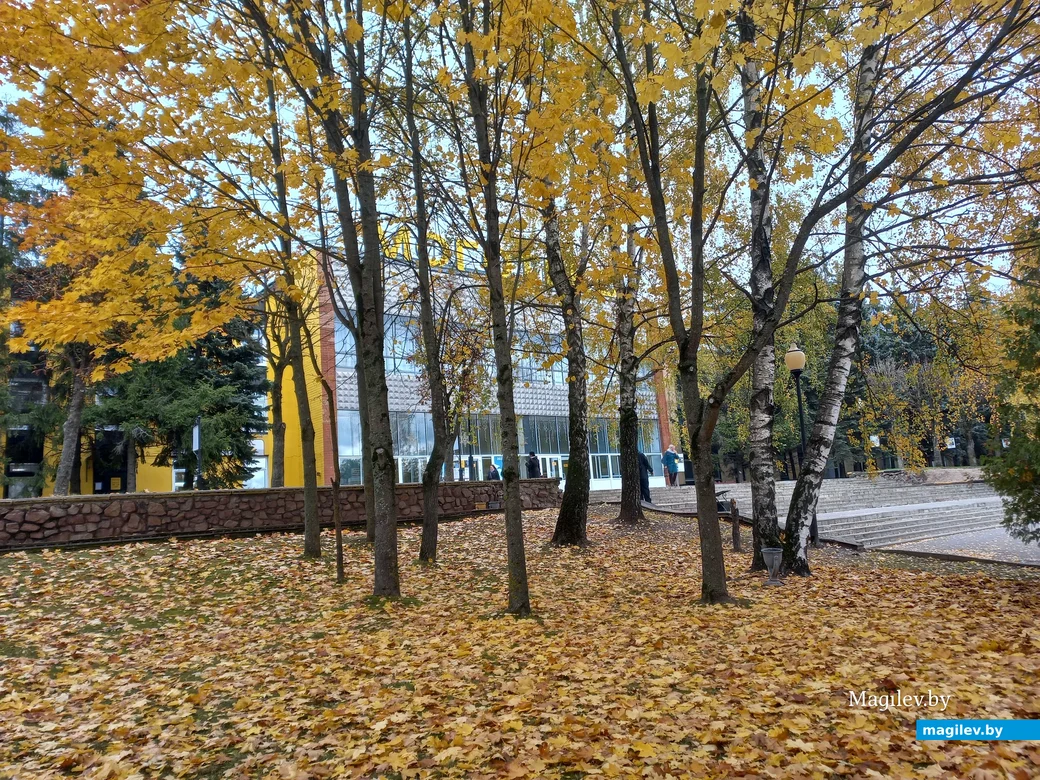 ОАО «Моготекс». Могилев, октябрь, 2023 г.