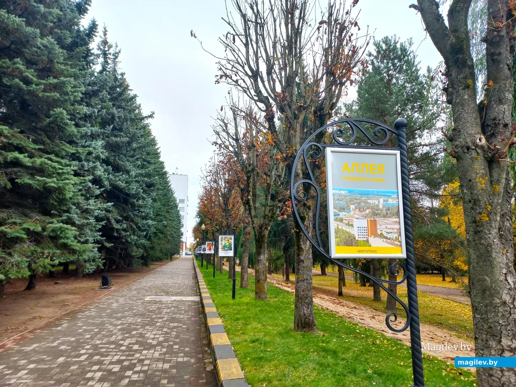 ОАО «Моготекс». Могилев, октябрь, 2023 г.