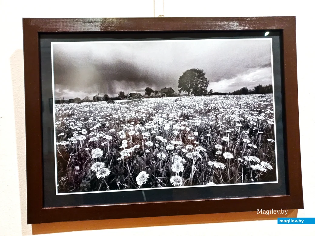 Открытие фотовыставки Геннадия Карчевского «Подниколье».. Могилев, музей этнографии, 10.11.2023