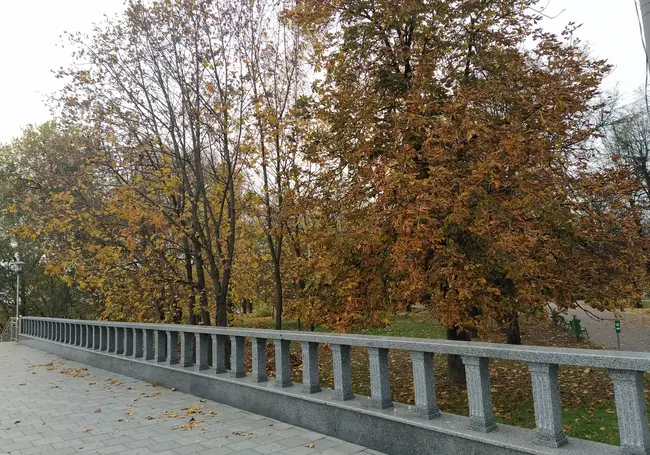 В воскресенье дождь и мокрый снег: прогноз погоды на 11-13 ноября