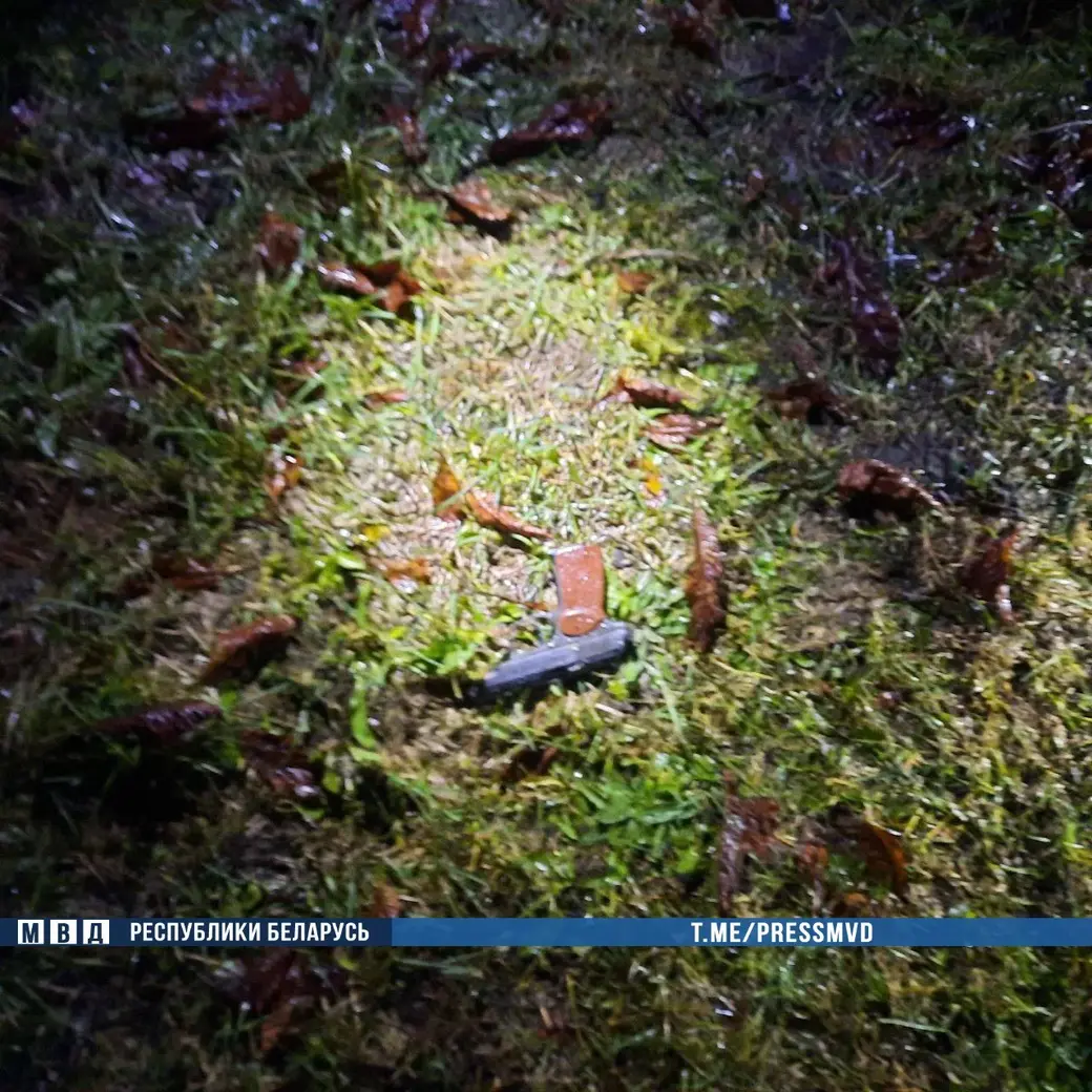 В деревне Малая Зимница Славгородского района неизвестный выстрелил в человека и с оружием скрылся. Фото ТК-Милиция Могилевщины.