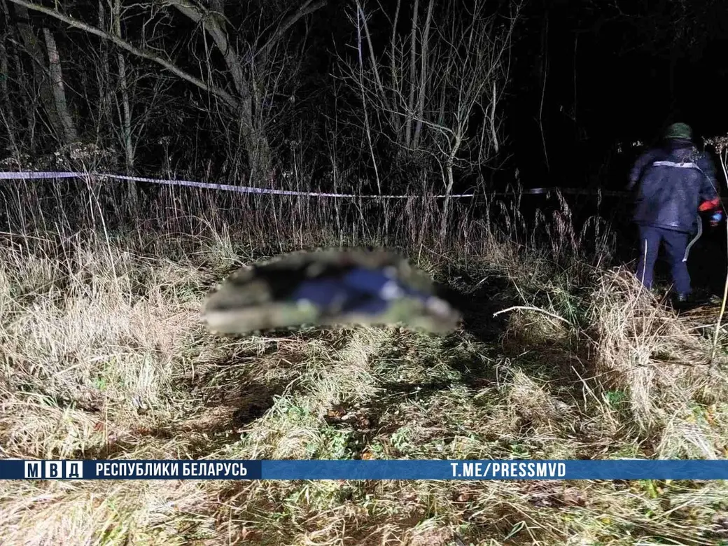 В деревне Малая Зимница Славгородского района неизвестный выстрелил в человека и с оружием скрылся. Фото ТК-Милиция Могилевщины.