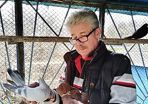 «На работе я работаю, а с ними отдыхаю». Поговорили с увлеченным голубями могилевчанином