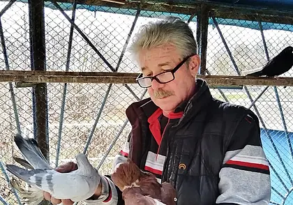 «На работе я работаю, а с ними отдыхаю». Поговорили с увлеченным голубями могилевчанином
