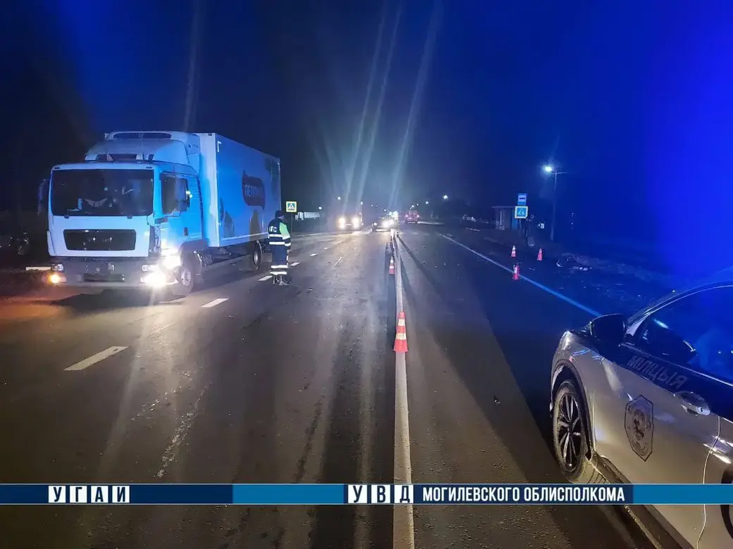 В Могилевском районе погиб пешеход. Фото ТК-Милиция Могилевщины.