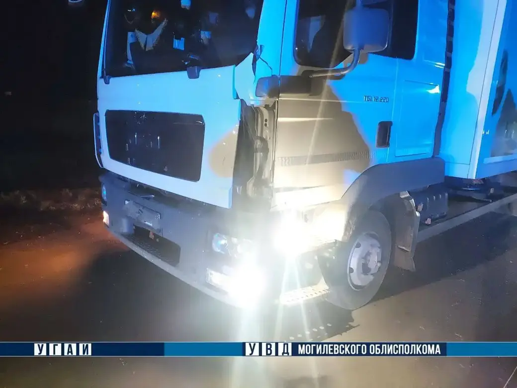 В Могилевском районе погиб пешеход. Фото ТК-Милиция Могилевщины.