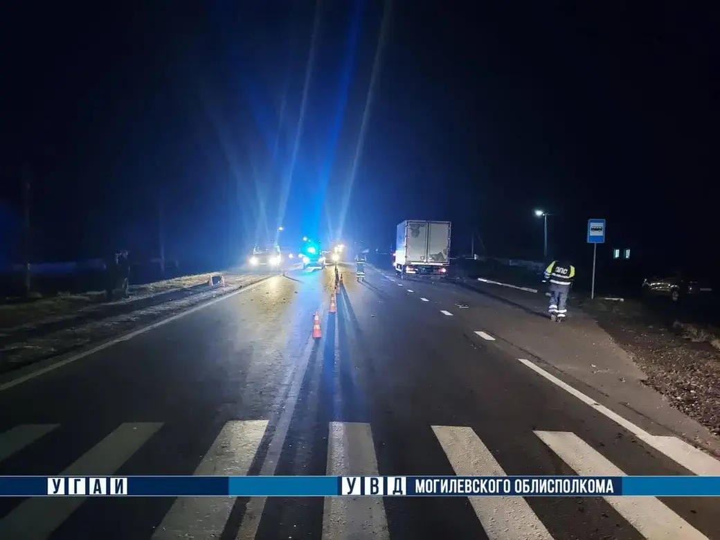 В Могилевском районе погиб пешеход. Фото ТК-Милиция Могилевщины.
