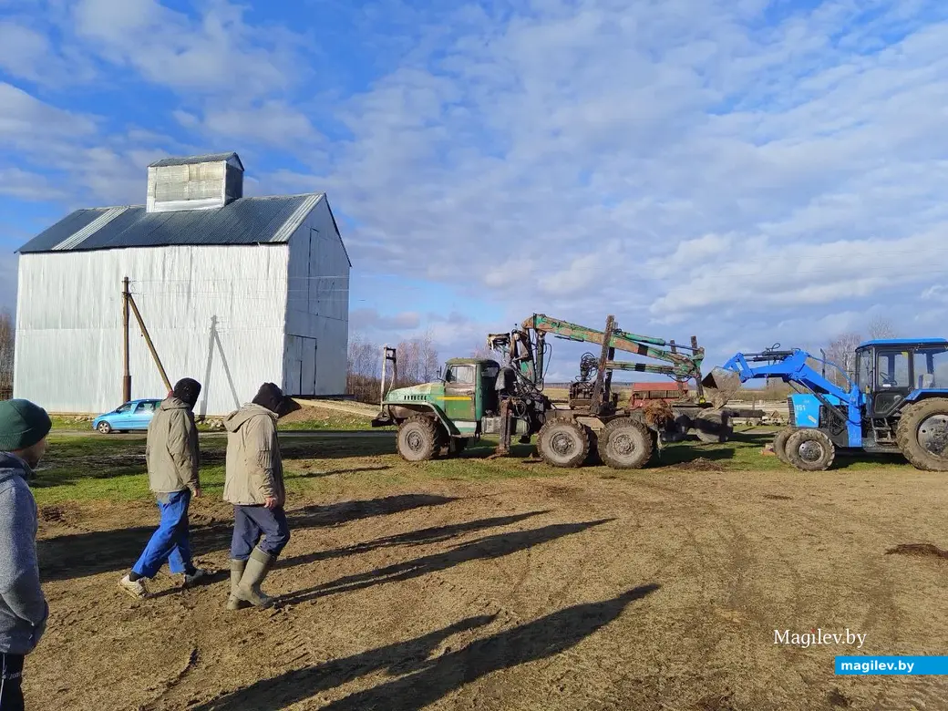 Ноябрь, 2023 г. Круглянский район, ферма «Огонек».