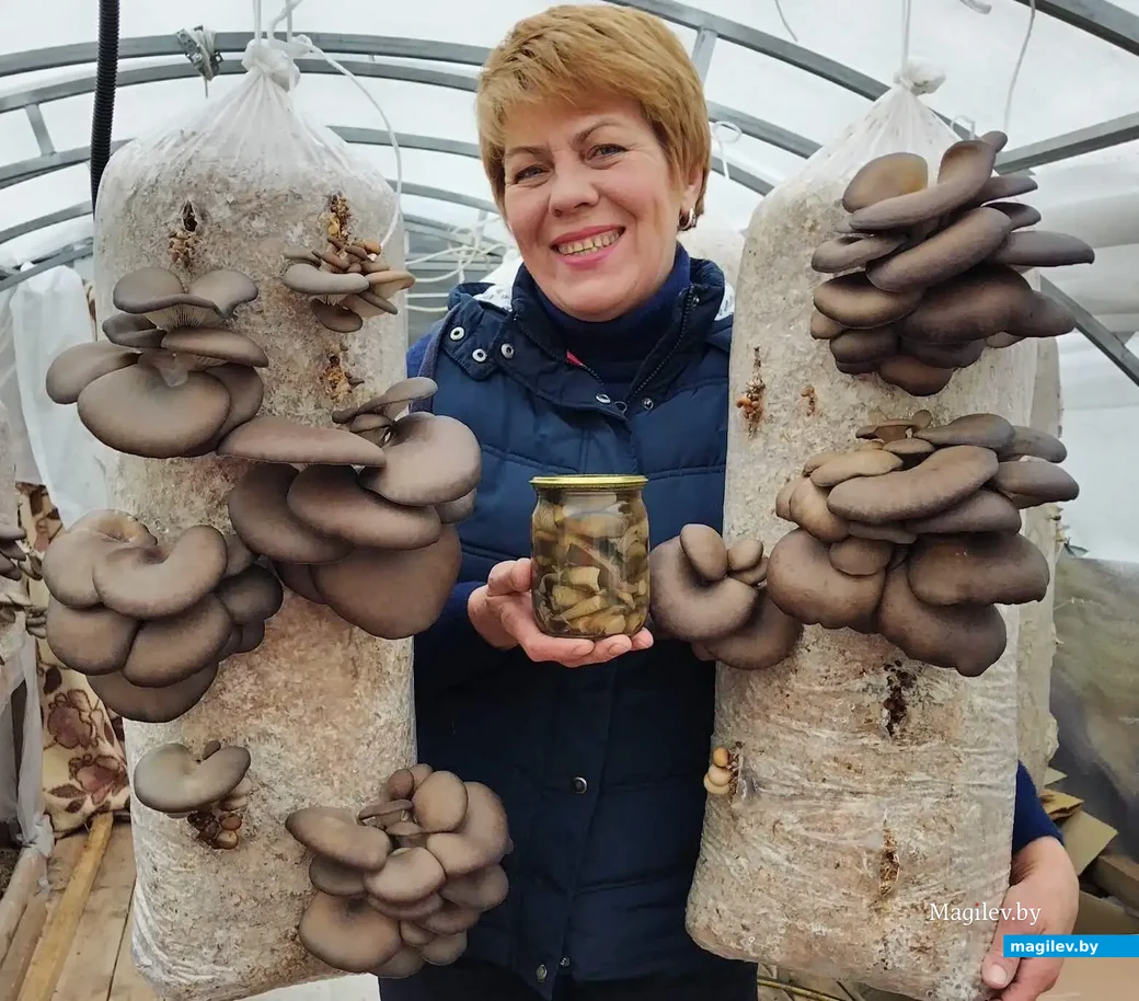 Сейчас Ирина Прокопович разводит вешенки.