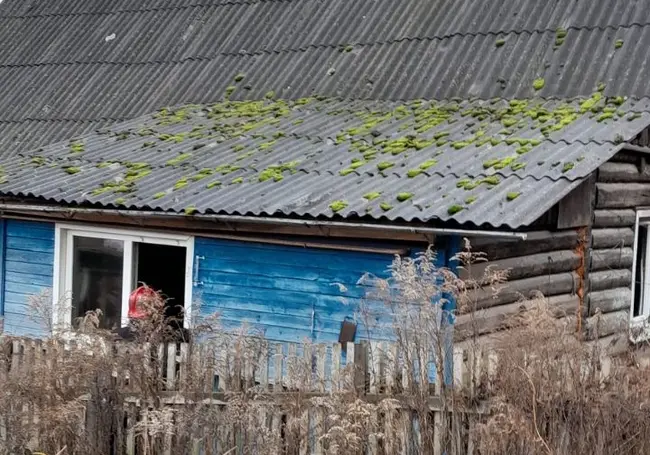 На пожаре жилого дома в Могилеве погиб мужчина