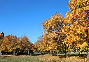 Похолодание и небольшой снег: прогноз погоды на 18-20 ноября