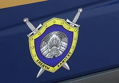 Житель Осиповичей заключен под стражу за клевету на главу государства