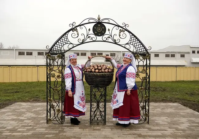В Бобруйском районе увековечили картошку в бронзе. Фотофакт