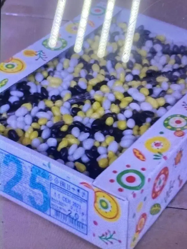 Драже ядровое «Семечки в цветной глазури».