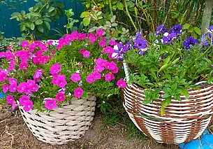 «Применение их самое разнообразное»