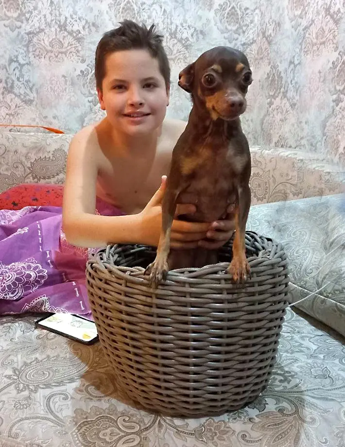 Плетеные изделия Татьяны Маковецкой.