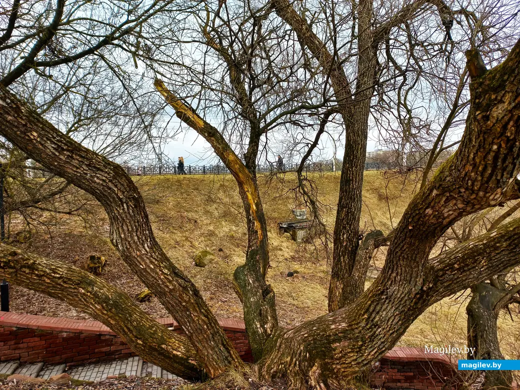 Март 2024 года, Могилев. Вид с Пелагеевки на проспект Мира.