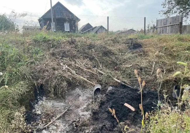 Мучительная смерть: в Чаусском районе пенсионерка упала в костер и погибла