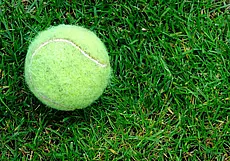 Почему теннисный мяч пушистый: мало кто знает ответ