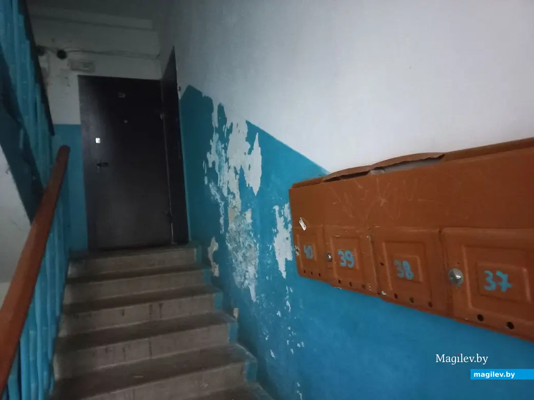 2024 г.. г. Могилев.