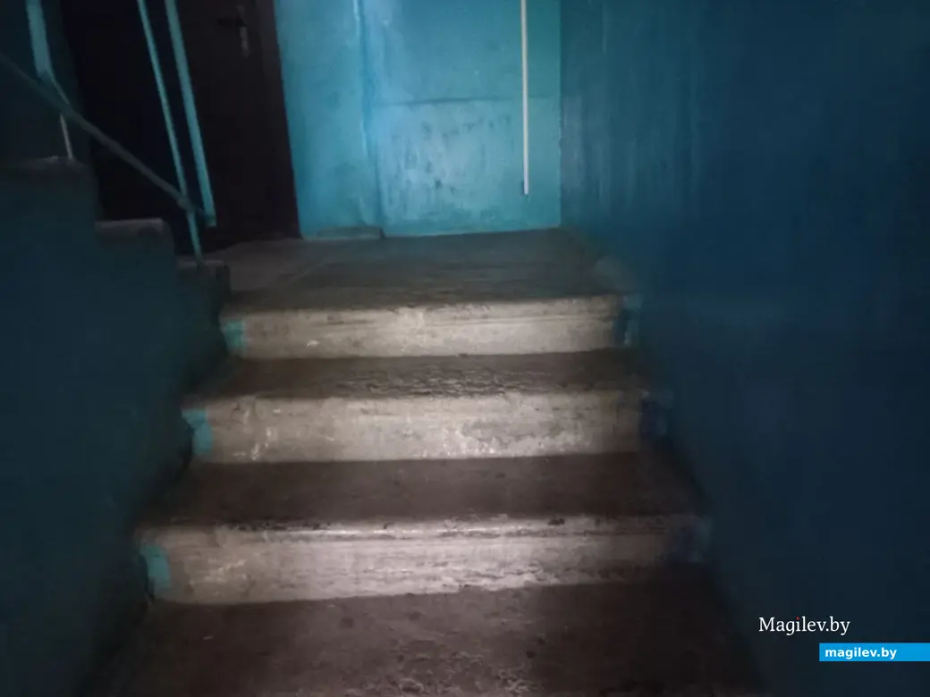 2024 г.. г. Могилев.