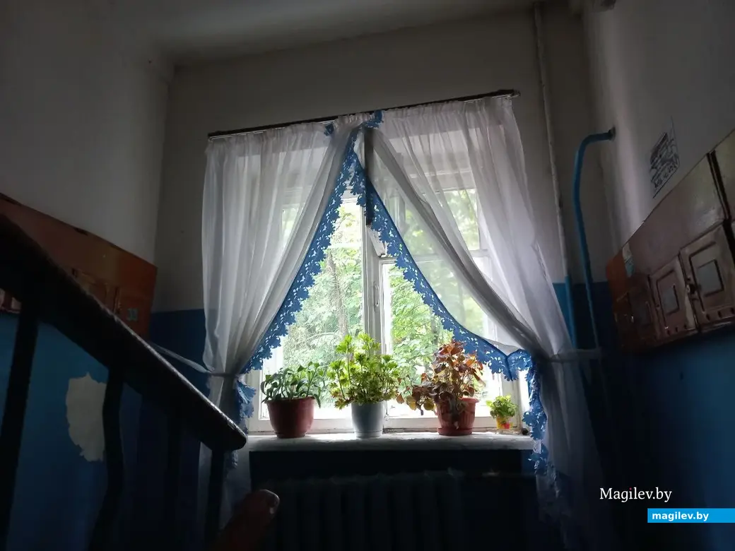 2024 г.. г. Могилев.