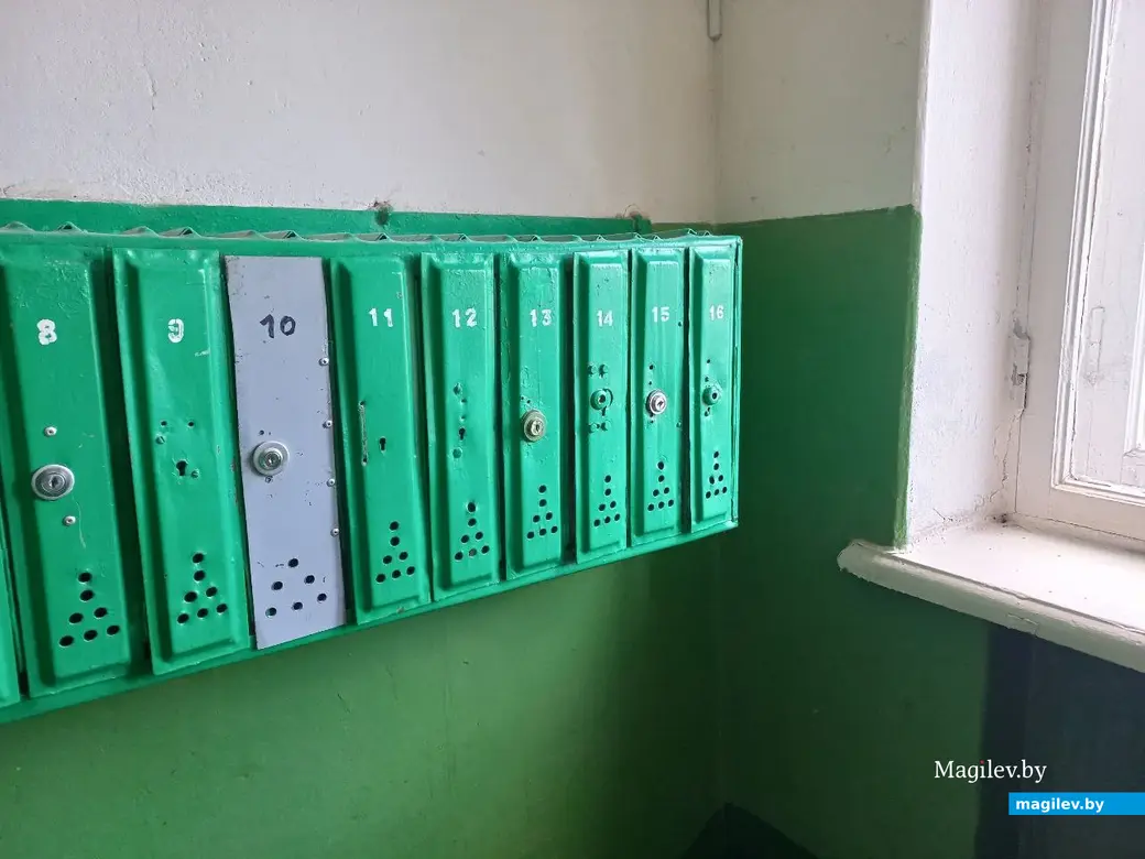 2024 г.. г. Могилев.