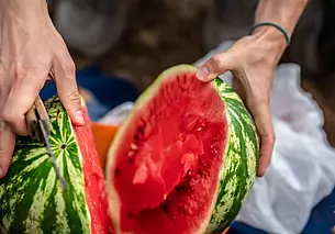 Почему нельзя покупать надрезанный арбуз, или Как избежать отравления большой ягодой