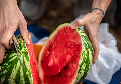 Почему нельзя покупать надрезанный арбуз, или Как избежать отравления большой ягодой