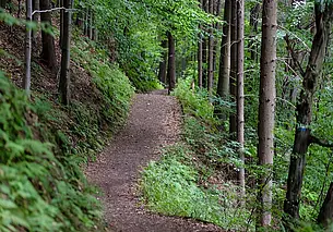 Хотите спасать людей? Становитесь поисковиком: в ПСО «Феникс» готовы помочь с обучением