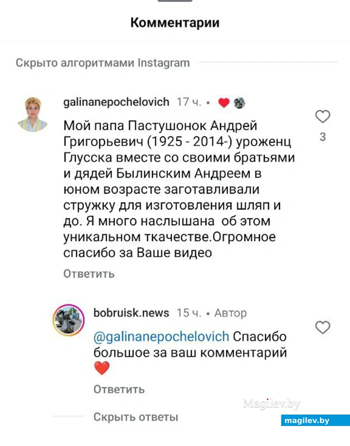 Комментарий в аккаунте bobruisk.news в соцсети Instagram после публикации видеоролика про уникальный