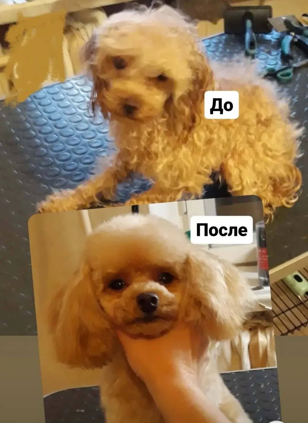 Бобруйск. Клиенты Ирины Белых. Фото героини материала.