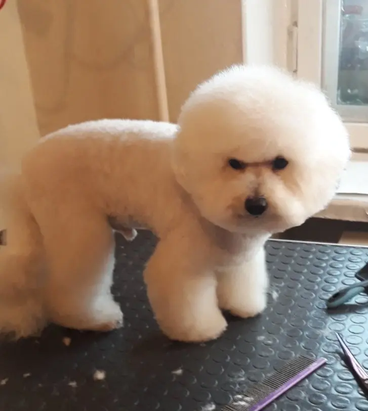 Бобруйск. Клиенты Ирины Белых. Фото героини материала.