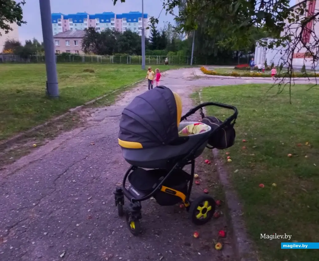 09.08.2024., Могилев, Казамировка, яблоневый сад сш №19, кино под открытым небом.