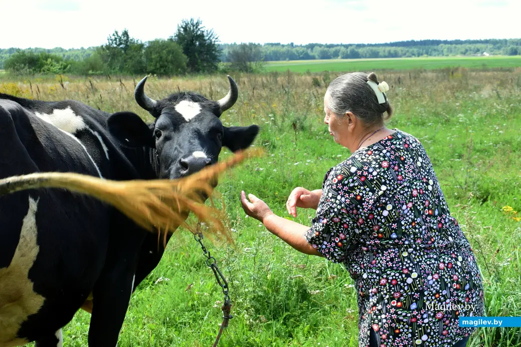 7.08.2024. д. Победа Кличевский район. В гостях у Таисии Ивановны Кушнеровой и Вадима Аркадьевича Шубина.